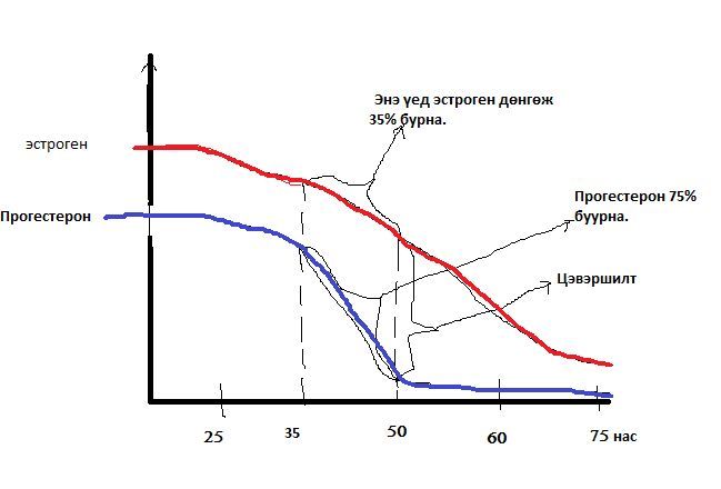 Используя данные диаграммы объясните функцию эстрогена