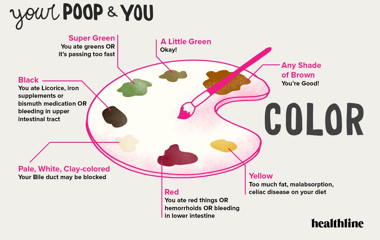 Human feces перевод. Types of poop. Poop time набор.